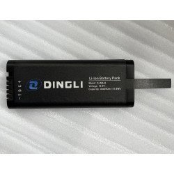 DLNB48 Battery For DINGLI Inspired Energy NF2040HD NF2040AG24 